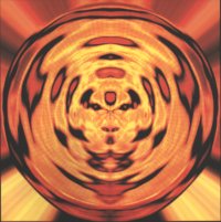 Coil   stolen & contaminated songs