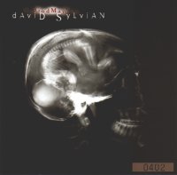 David sylvian godman