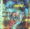 David Toop - Spirit World