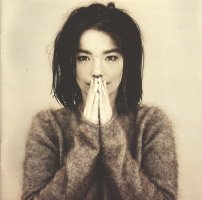 Bjork debut