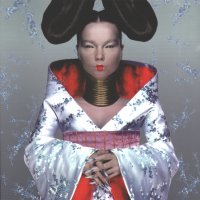 Bjork homogenic
