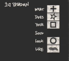 Dj shadow what does your soul look like