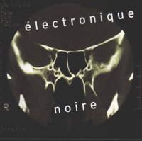 Eivind aarset electronique noire