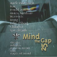 Various mind the gap 25